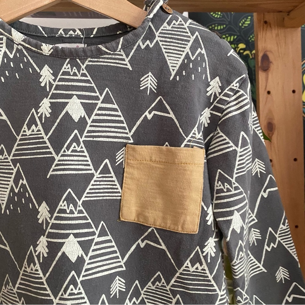 Lali Gray Winter Mountain Print Long Sleeve Shirt - Picture 5 of 13